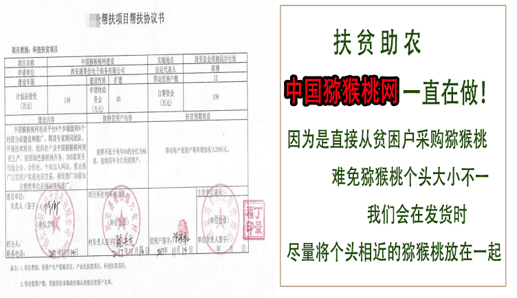 陈.jpg